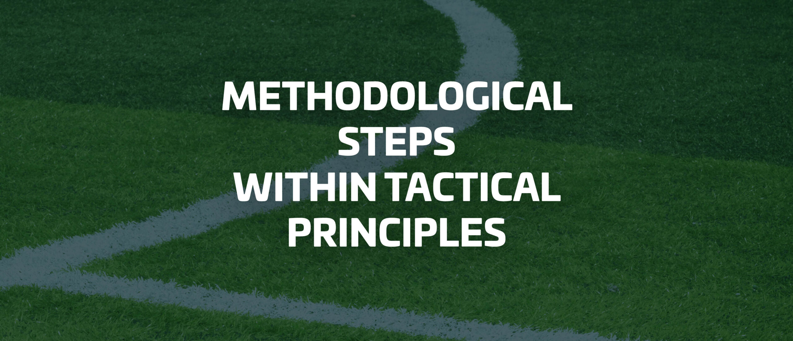 methodological steps